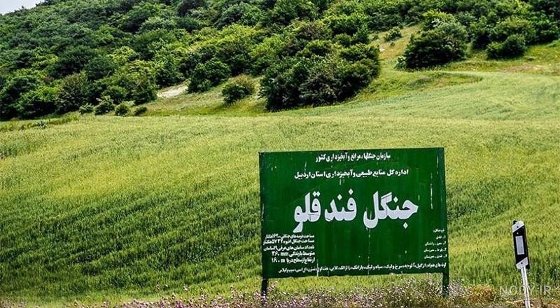 راهنمای سفر به جنوب | شهرهای دیدنی جنوب ایران - مجله گردشگری هف هشتاد راهنمای سفر به جنوب | شهرهای دیدنی جنوب ایران - مجله گردشگری هف هشتاد