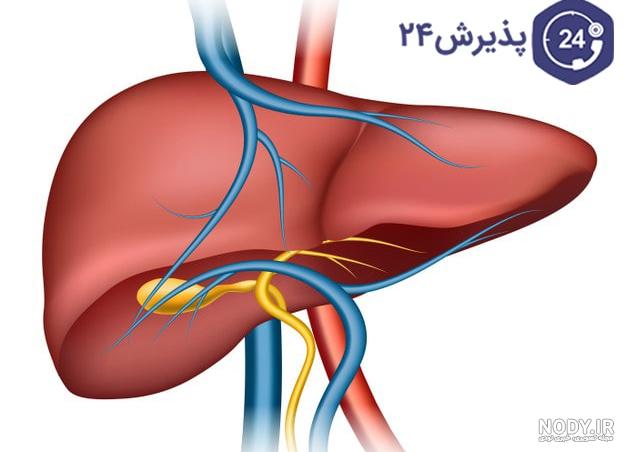 راهکار‌های درمانی سنگ کیسه صفرا | پایگاه خبری جماران