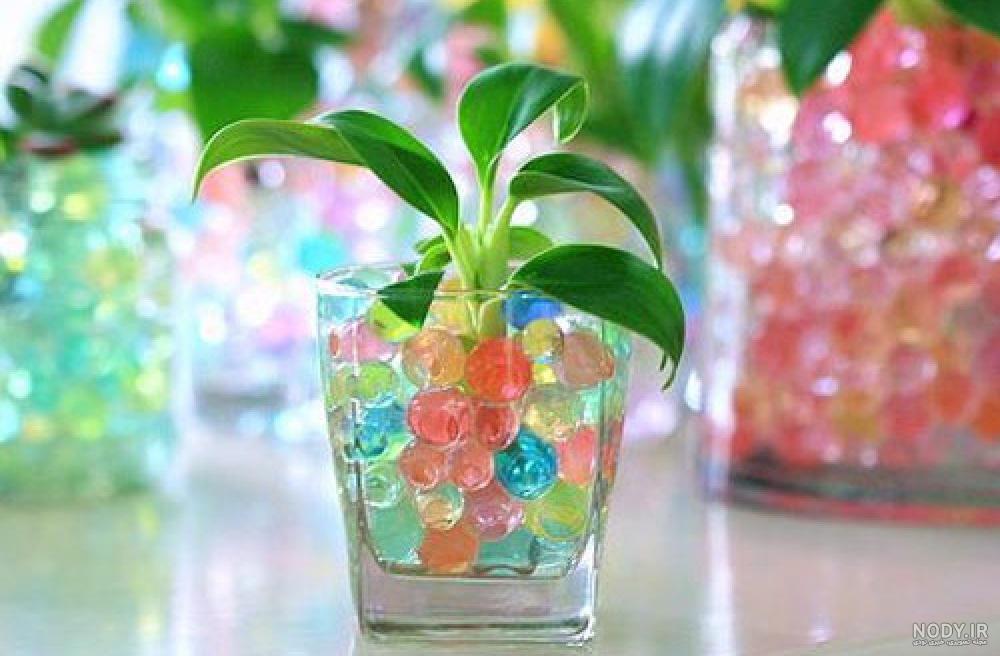 عکس از خاک ژله ای