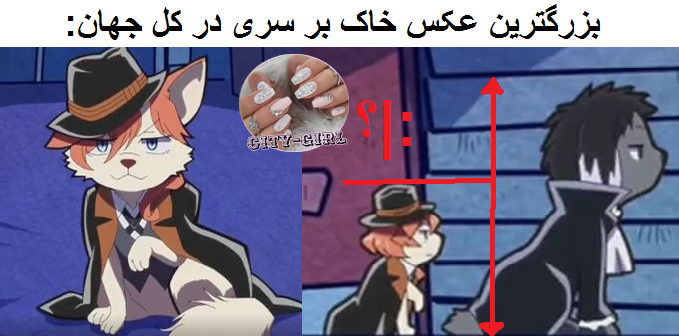 عکس عکس خاک بر سری - عکس نودی