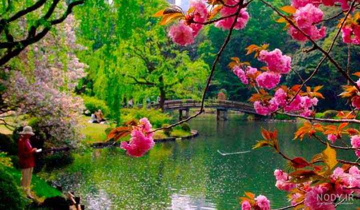 عکسهای طبیعت ژاپن - عکس نودی عکسهای طبیعت ژاپن - عکس نودی