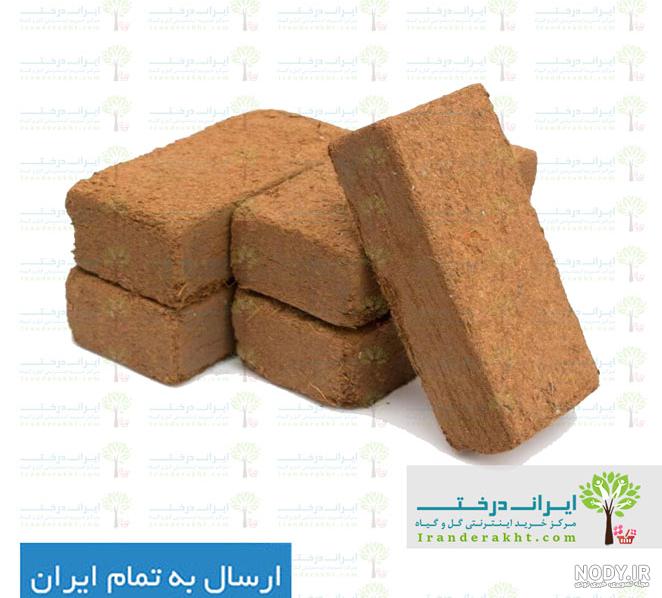قیمت و خرید خاک کوکوپیت | فروش عمده cocopea قیمت و خرید خاک کوکوپیت | فروش عمده cocopea