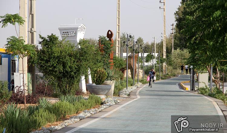 پیاده راه استاد شجریان در شبهای تابستانی- شیراز- عکس استانها تسنیم | Tasnim
