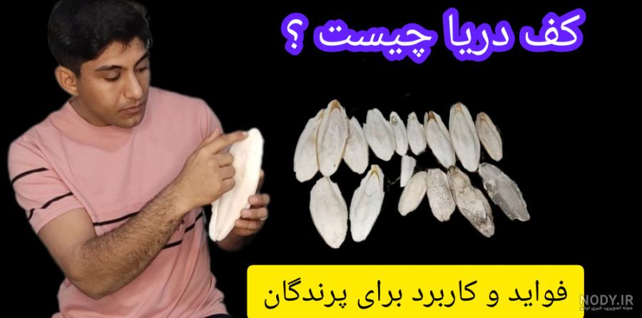 کف دریا و خواص آن برای پرندگان | خرید کف دریا از فروشگاه اینترنتی الی پت