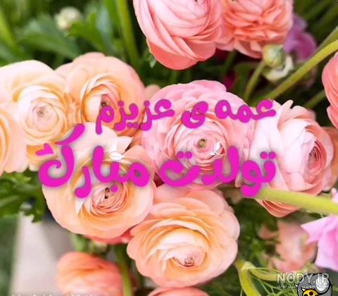 ۵۰ پیام تبریک تولد به عمه +عکس نوشته تولدت مبارک عمه عزیزم - تبریکده ۵۰ پیام تبریک تولد به عمه +عکس نوشته تولدت مبارک عمه عزیزم - تبریکده
