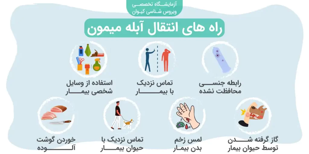 عكس ابله ميموني
