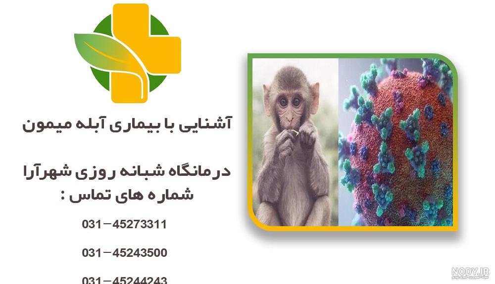علائم آبله میمون چیست و چگونه منتقل می شود؟ | آزمایشگاه پارس طب
