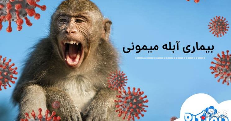 عکس ابله میمونی - عکس نودی