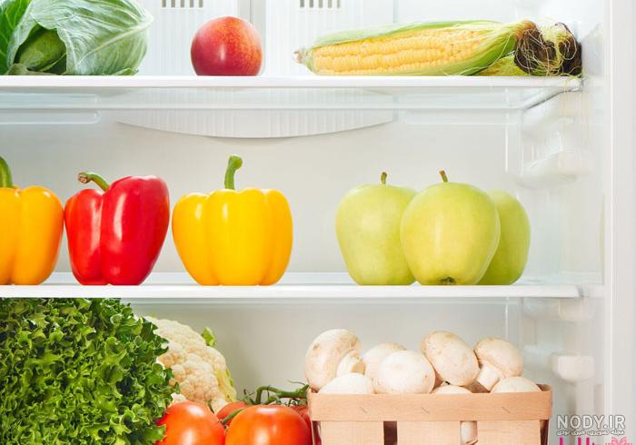قیمت یخچال فریزر دوقلو التو (خرید به قیمت روز) + راهنمای کامل محصول |  آرپی‌لند