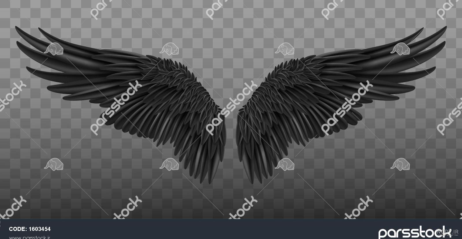تصویر واقعی فرشته ها تصویر واقعی فرشته ها
