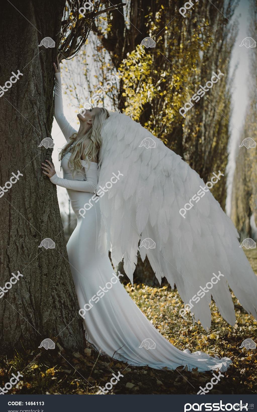 عکس او یک فرشته بود عکس او یک فرشته بود
