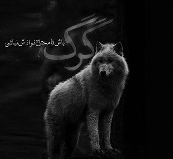 100 عکس پروفایل دخترانه زیبا و خاص | تابان