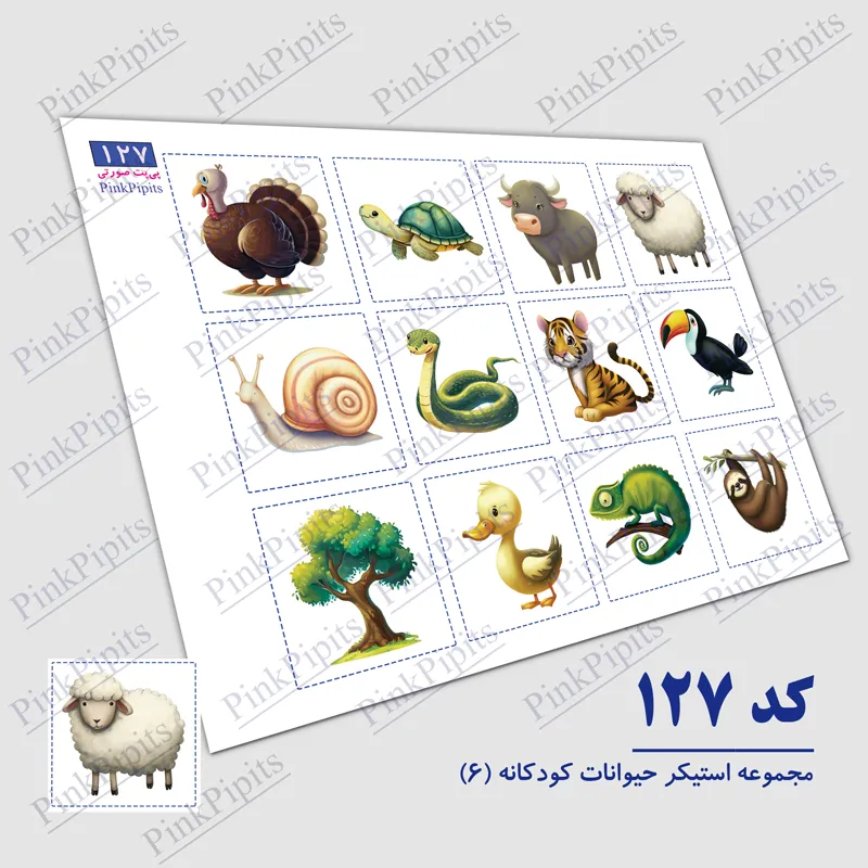 20 نمونه جمله سازی با دارکوب + جمله سازی برای سوم ابتدایی برای دارکوب حرف  تازه