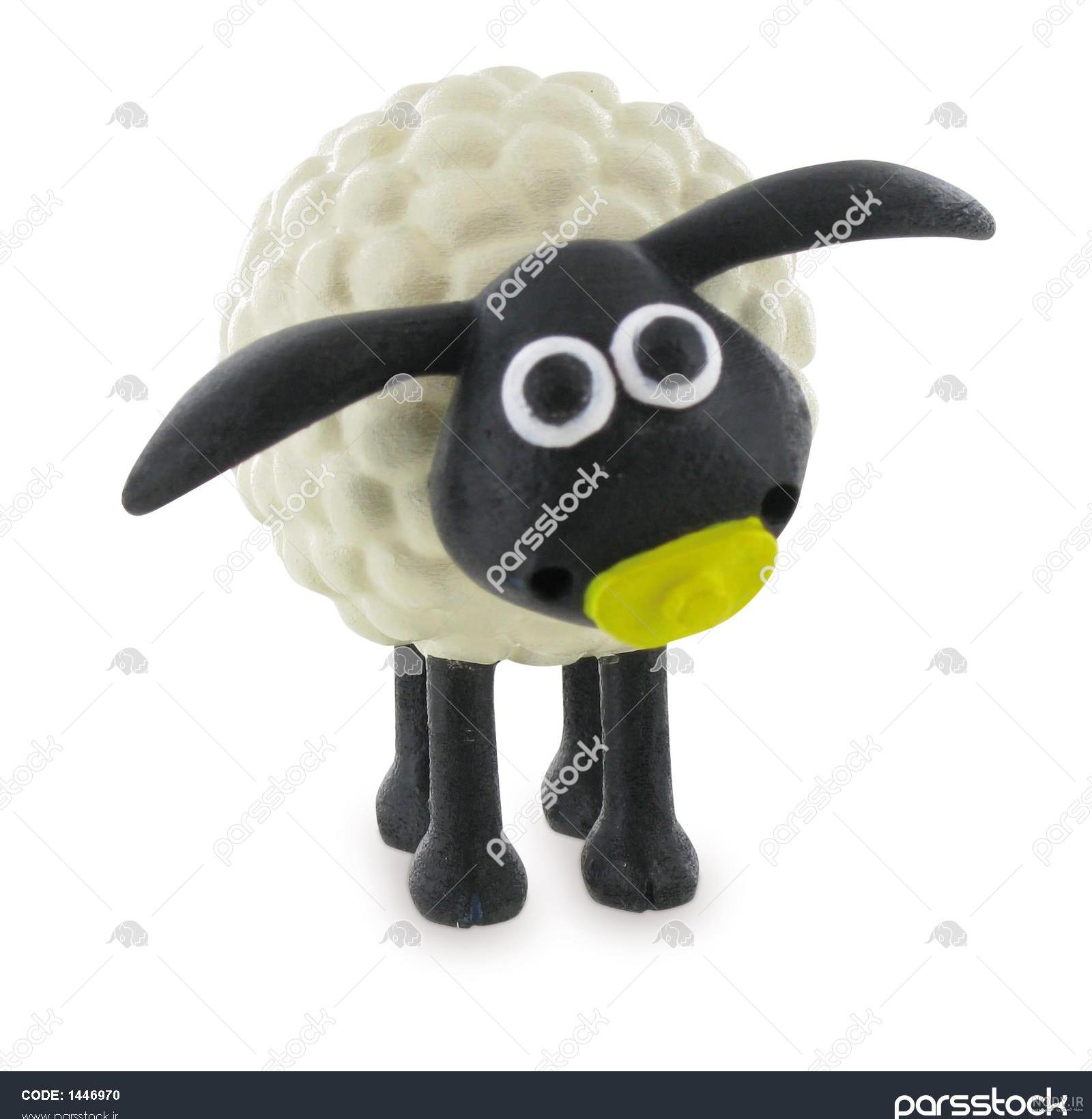 بره ناقلا