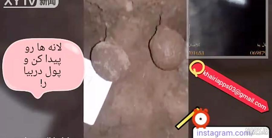جیوه خفاش چیست و در کجا یافت می شود؟ - آراد برندینگ جیوه خفاش چیست و در کجا یافت می شود؟ - آراد برندینگ