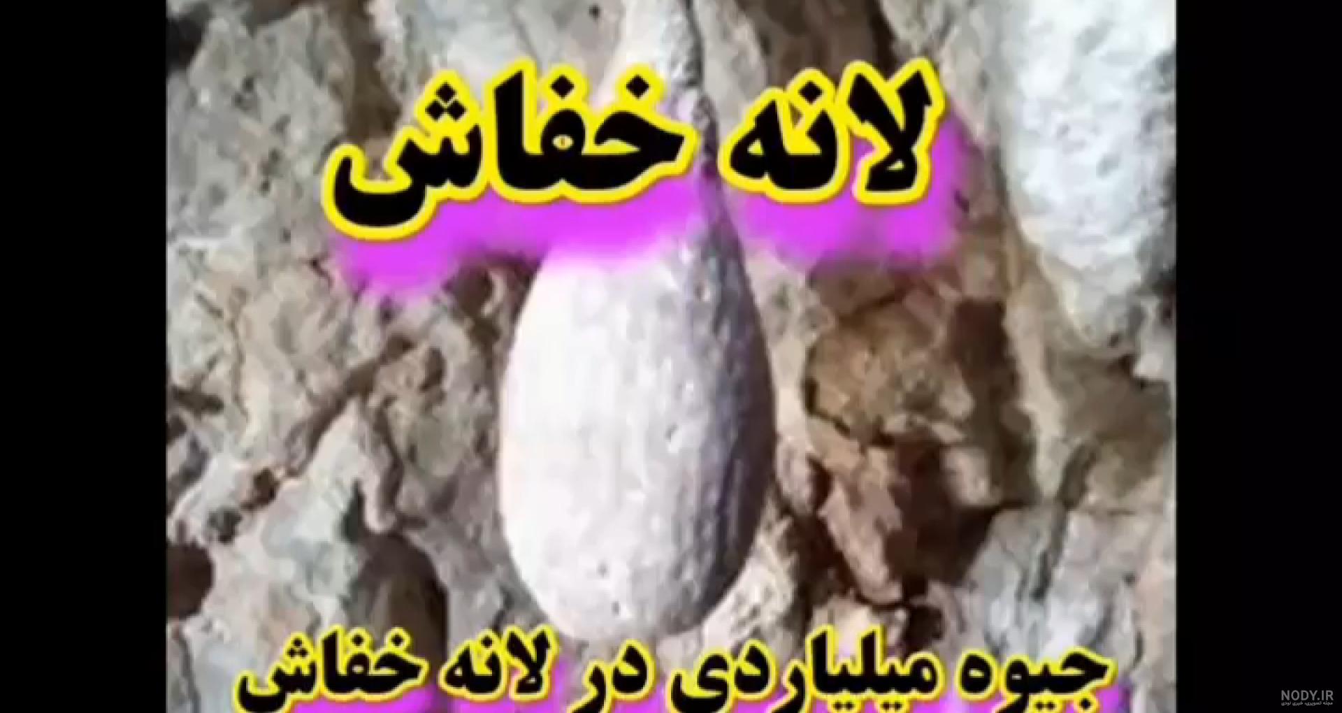 میلیاردر شدنم را مدیون ایده پدرم هستم میلیاردر شدنم را مدیون ایده پدرم هستم
