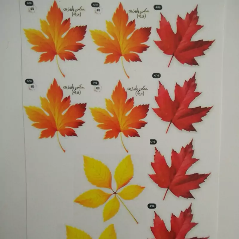 50 کیک تولد پاییزی شیک و باکلاس (دخترانه،پسرانه) 50 کیک تولد پاییزی شیک و باکلاس (دخترانه،پسرانه)