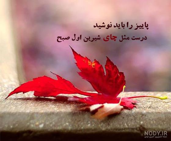 زیباترین عکس نوشته پاییزی 1400 عاشقانه و احساسی ( مناسب استوری ) زیباترین عکس نوشته پاییزی 1400 عاشقانه و احساسی ( مناسب استوری )