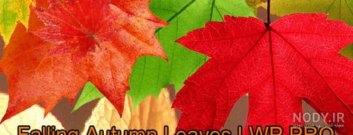 عکس زیبای پاییزی برای صفحه گوشی - عکس نودی