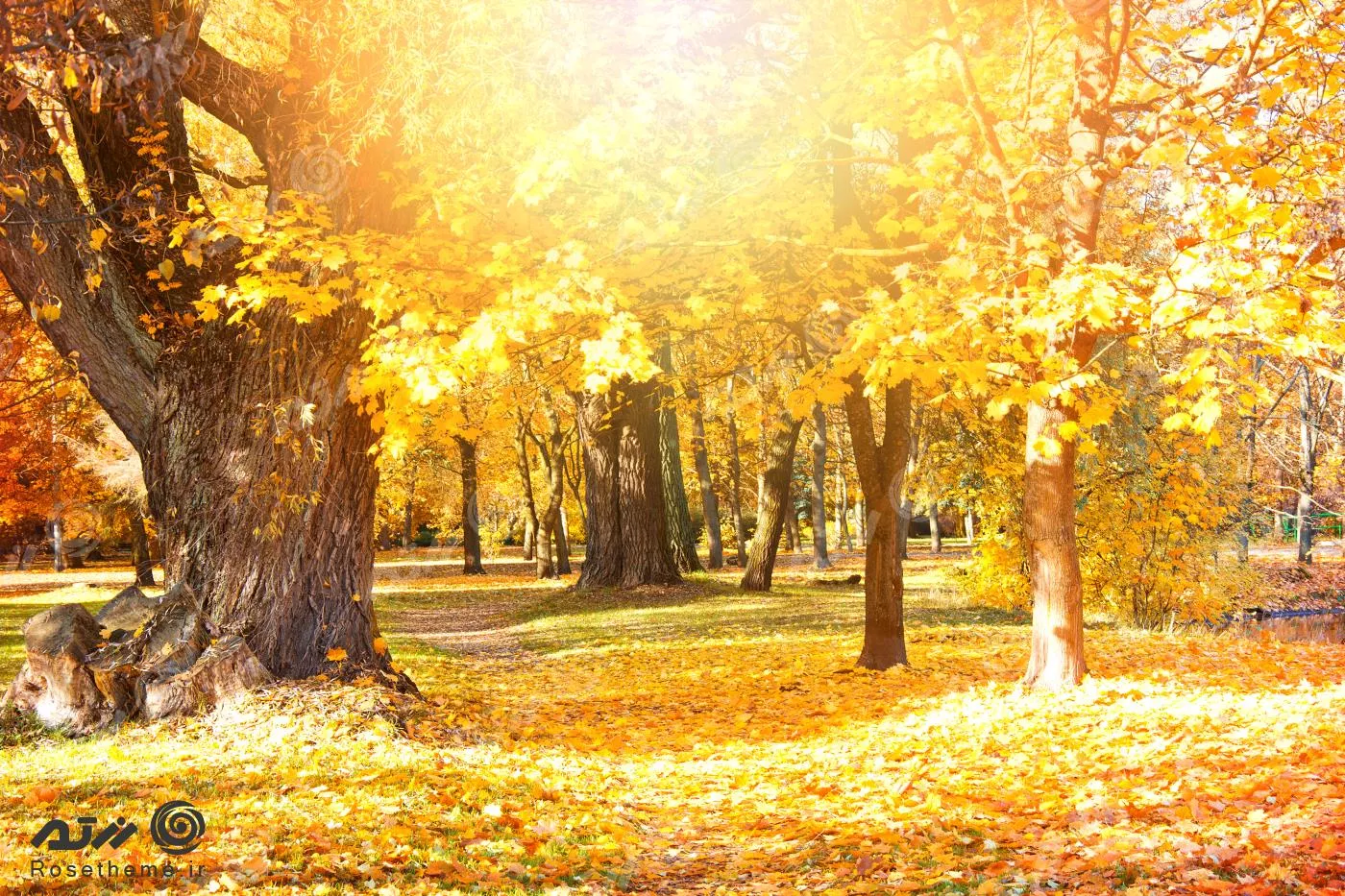 عکس پاییز؛ منظره و عکس طبیعت پاییزی زیبا و خاص - ستاره
