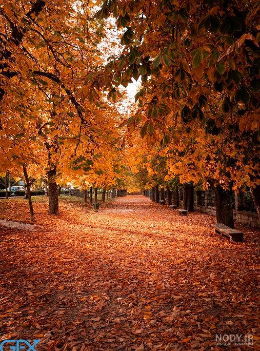 عکس پس زمینه پاییز برای گوشی