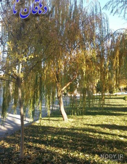 ۵۰ عکس پروفایل پاییز با مناظر زیبا و تماشایی