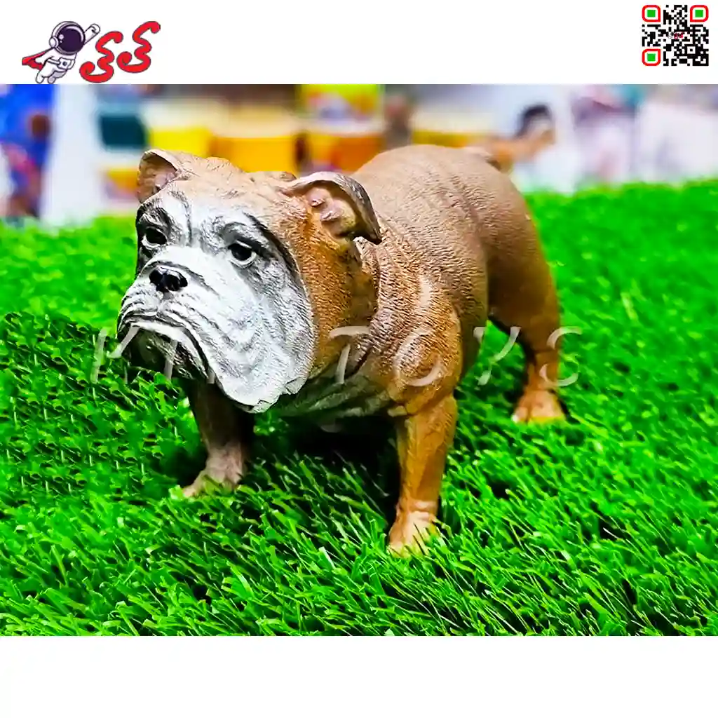 نژاد سگ بولداگ فرانسوی بهتر است یا آمریکایی؟ قیمت خرید سگ Bulldog ... نژاد سگ بولداگ فرانسوی بهتر است یا آمریکایی؟ قیمت خرید سگ Bulldog ...