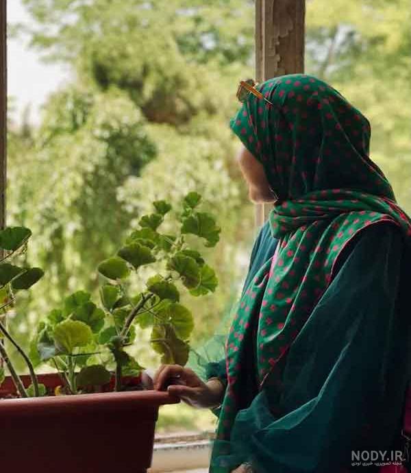 آلبوم عکس دختر چادری برای پروفایل 2022 جدید - تــــــــوپ تـــــــــاپ