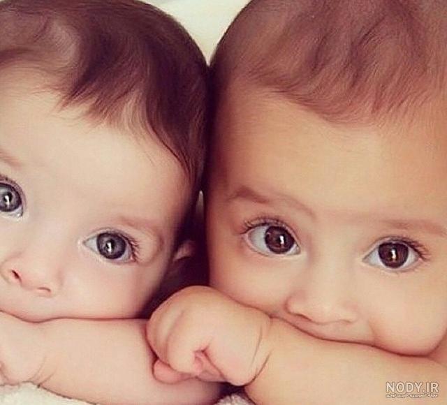 برای آنها که دوقلو می‌خواهند