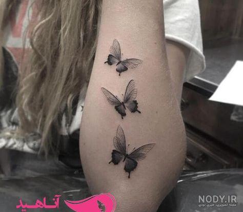 تتو پروانه و معنی تاتو پروانه ؛ طرح تتو پروانه مشکی ، پروانه کوچک و...