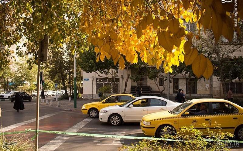 مدیریت کارواش اتوماتیک یا کارواش دستی در روزهای شلوغ فصل پاییز