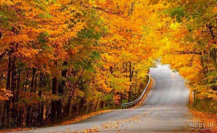 پاییز برگ ماشین بارون تصویر هوای سرد - عکس ویسگون