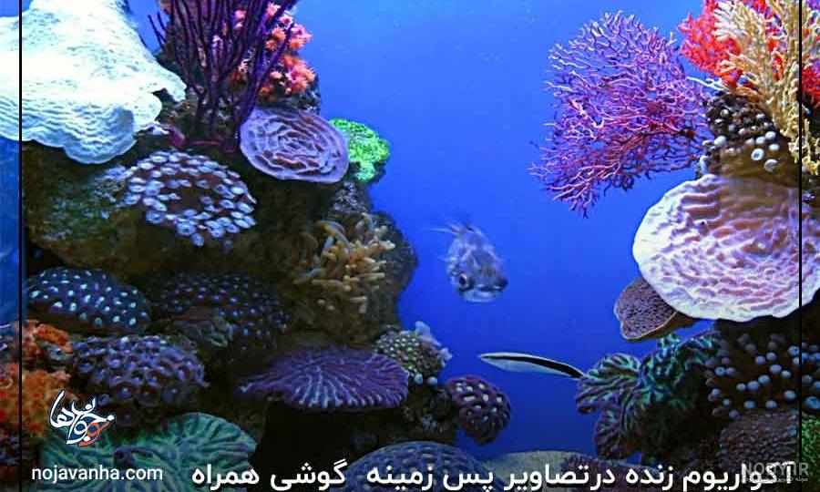 Wallcraft - تصویر زمینه متحرک - برنامه‌ها در Google Play