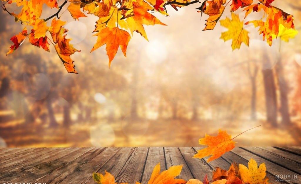 77 عکس زیبا و رویایی پاییز برای بک گراند و پروفایل