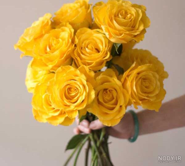 آلبوم عکس گلهای زیبا برای پروفایل 2019 جدید - تــــــــوپ تـــــــــاپ