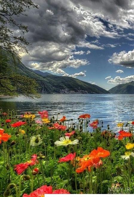دانلود عکس طبیعت زیبا با کیفیت بالا برای دسکتاپ