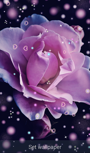 عکس زنده پس زمینه