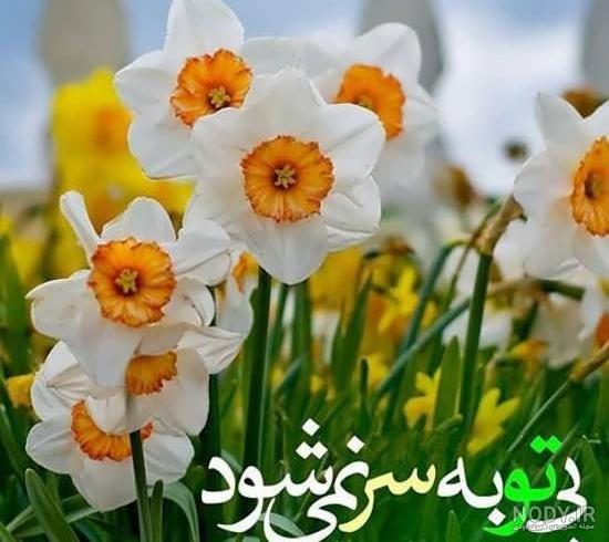 عکس نوشته در مورد امام زمان (عج) - تــــــــوپ تـــــــــاپ