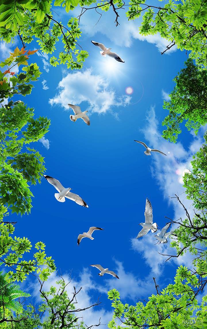 عکس پس زمینه آسمان پرستاره
