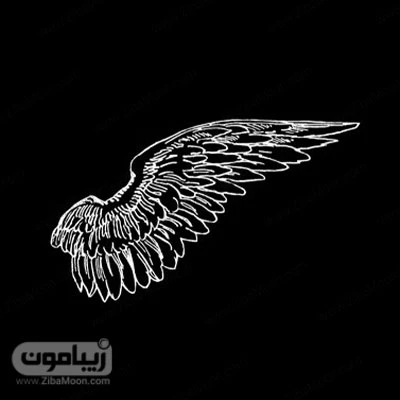 عکس های پس زمینه قلب / بهترین تصاویر قلب [پیشنهادی] | تاوعکس
