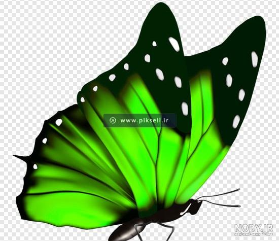 پس زمینه با طرح پروانه
