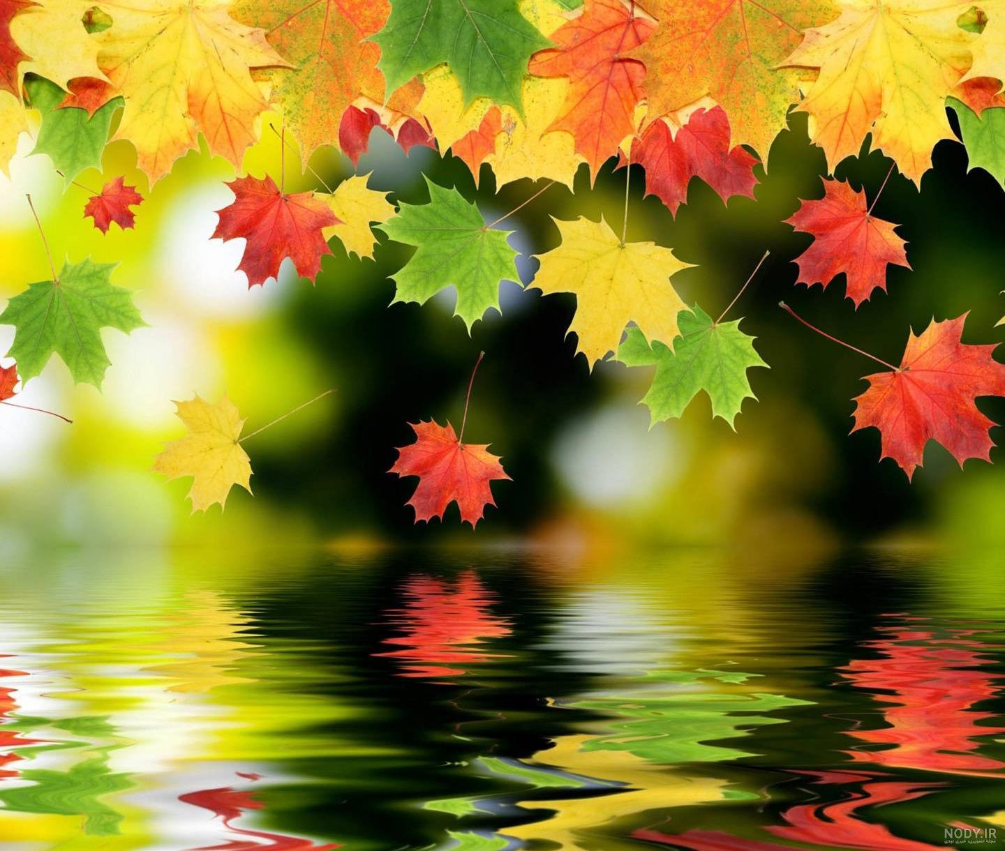 عکس های زیبا و بکر طبیعت برای پس زمینه wallpaper - الگو ایرانی