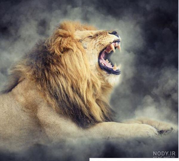 عکس پروفایل شیر تاج دار پرسپولیس