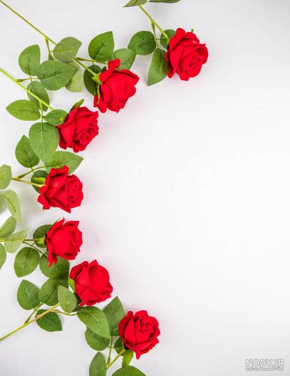 عکس پس زمینه گل بنفش