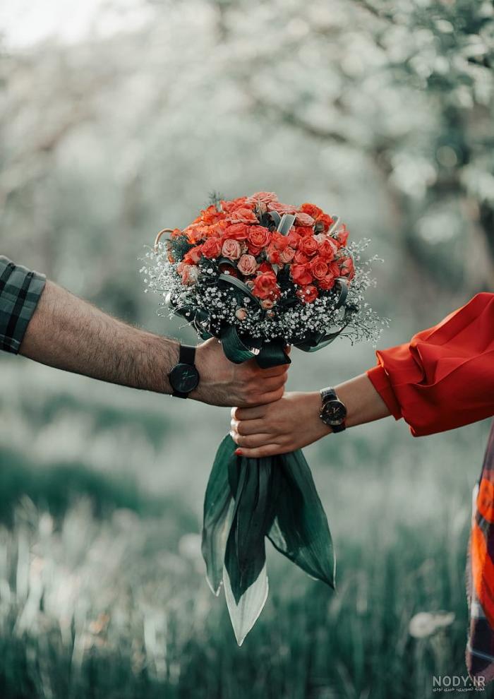 عکس پس زمینه گل رز بنفش