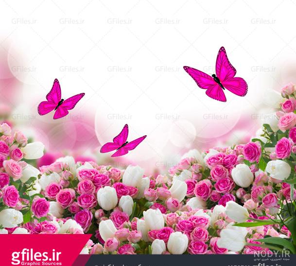 عکس پس زمینه گل صورتی زیبا