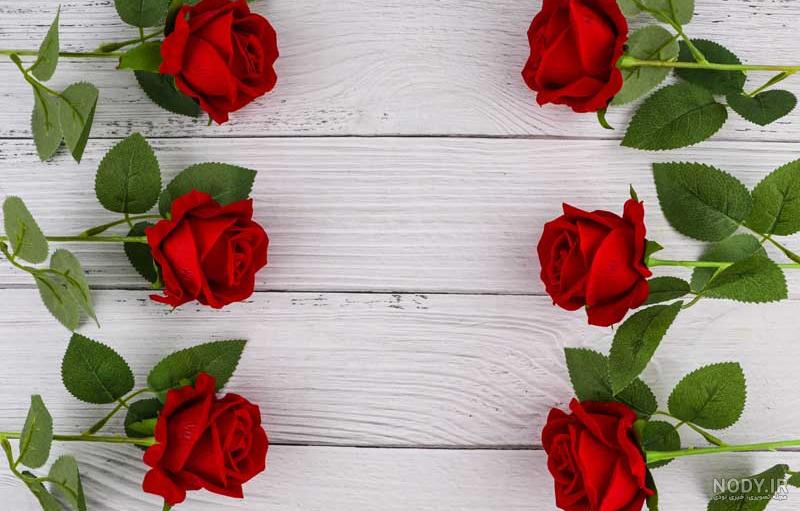 عکس پس زمینه گل و طبیعت
