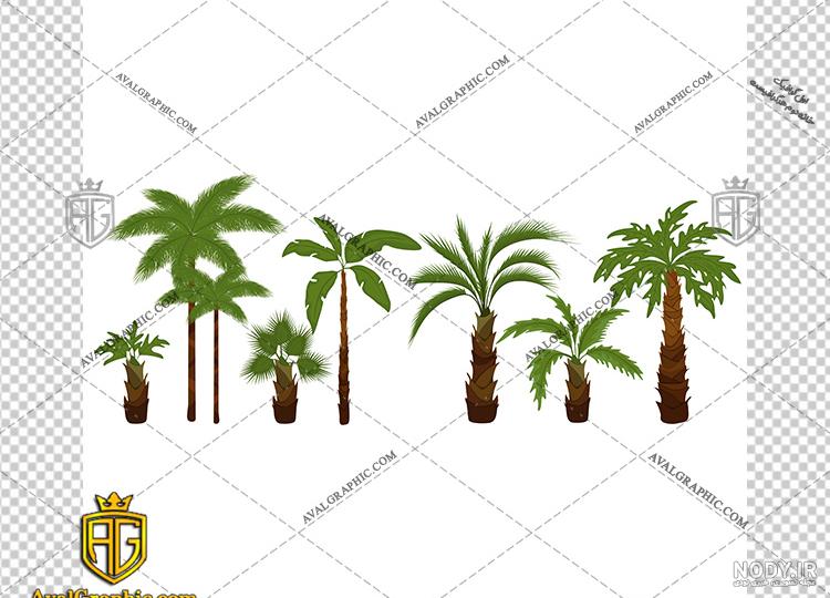 دانلود وکتور نقاشی درخت نخل Palm Trees Set Sketch – تایم کد