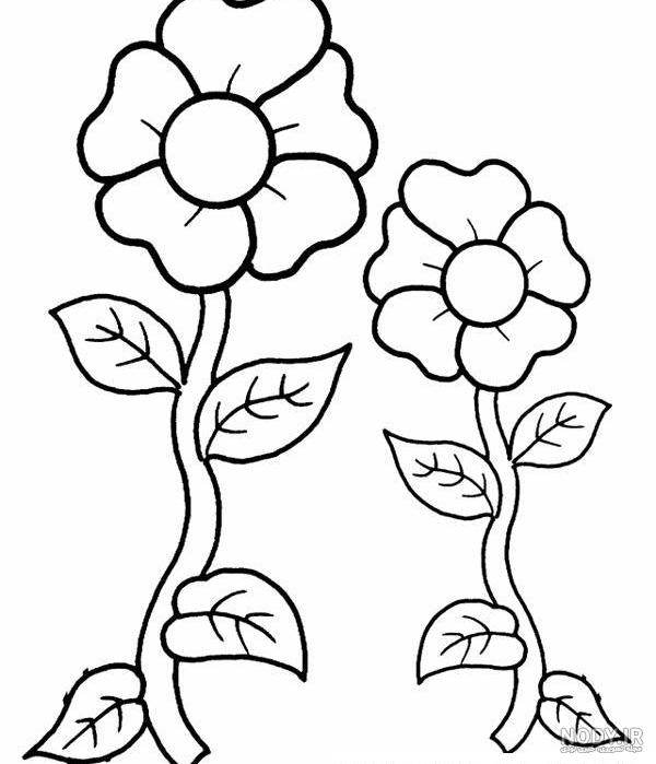 عکس نقاشی یک دسته گل