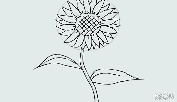 عکس نقاشی یک گل ساده